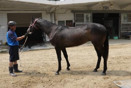 ����ѿ��� ����