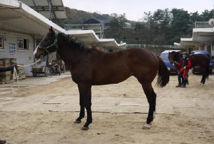 �������� ����