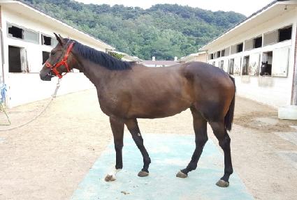 ���ڸ��� ����