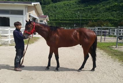 ��ī�̷��� ����