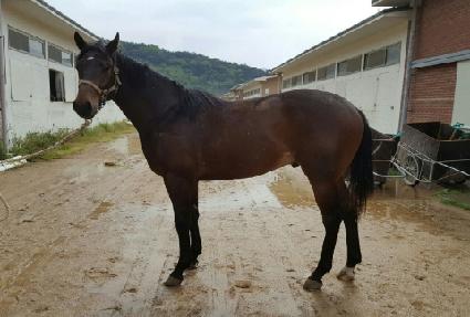 ��Ƽ����� ����