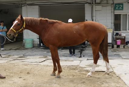 ���ְ��� ����