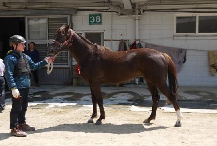 �������� ����