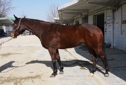 �������� ����