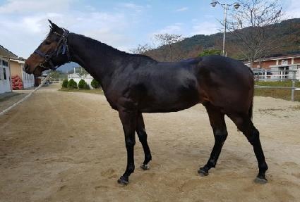 �۽����÷� ����