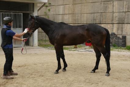 è�Ǿ�ŷ ����