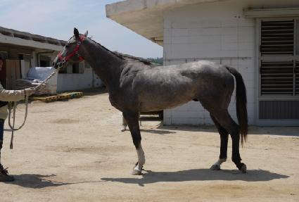 �¾������� ����