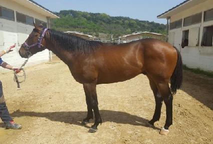 ���ǽ¸� ����