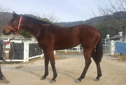 �濬������ ����