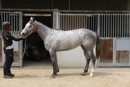 �۷ι��� ����