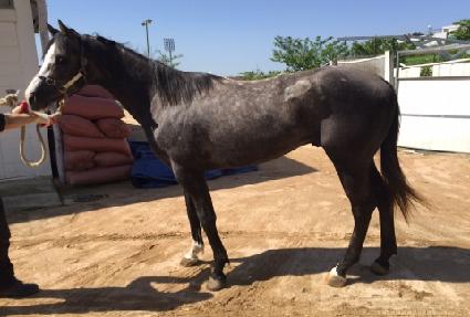 ���´���ī�� ����