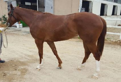 ����ŷ�� ����