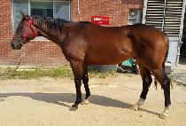 �������� (YEONGUNG JEWANG) ����