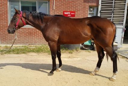 �������� ����