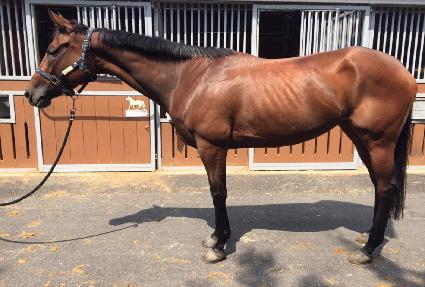 ī������ ����