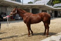 JEONGSEONGSEURE picture