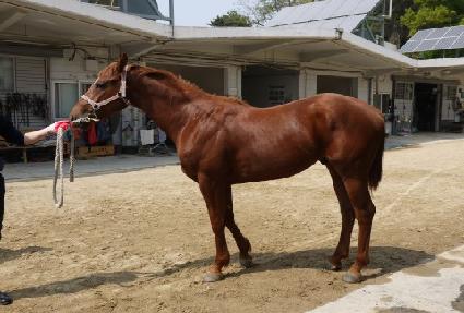 �������� ����