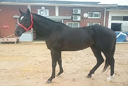 ������� ����