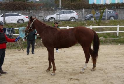 è���� ����