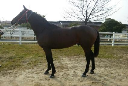 �����ǽ��� ����