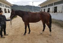 ���� (IHYEN) ����