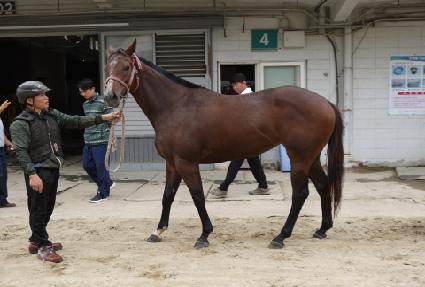 ������� ����