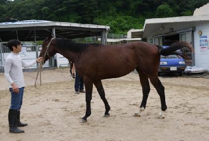 ��ȣ���ζ� ����