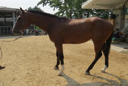 ��ŰŸ���� ����