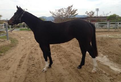 ��Ƽ���� ����