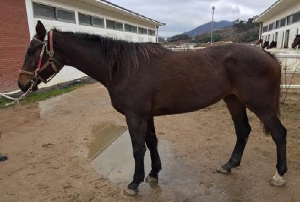 �ӽ�Ʈ���̵� ����