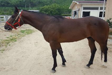 �õ弮���� ����