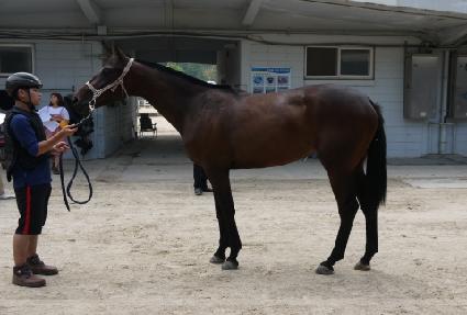 Ű���� ����