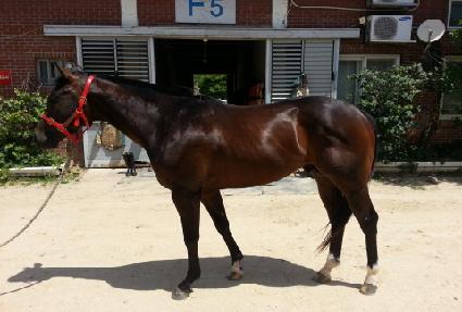 �������� ����