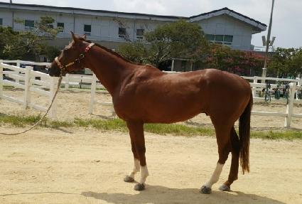 �ʵ���ī�� ����