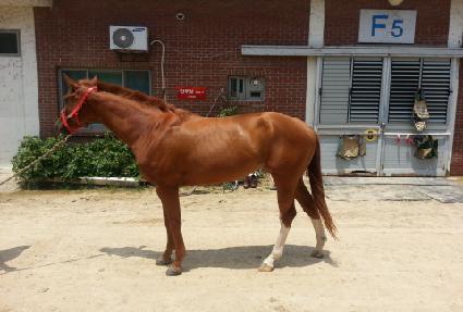 ������ ����