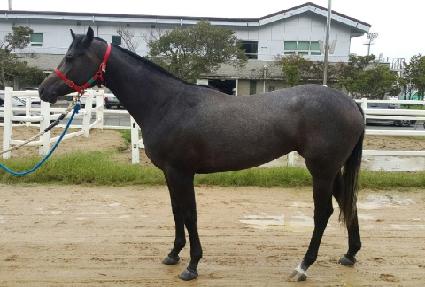 �Ƹ��Խ� ����