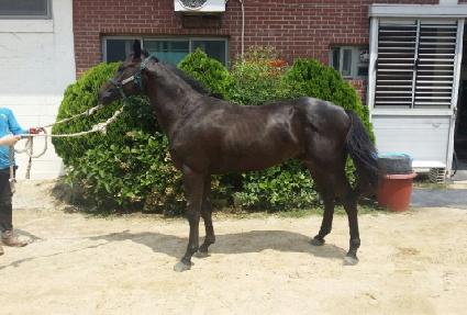 �����ĸƾ ����