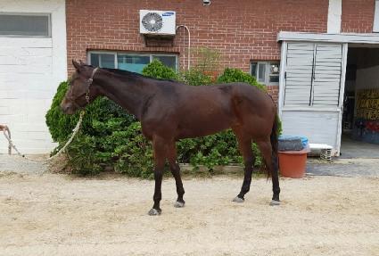 ���̽����� ����