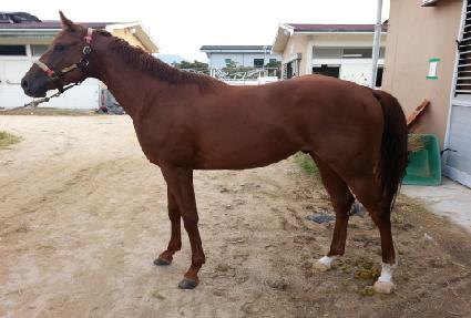 ������� ����