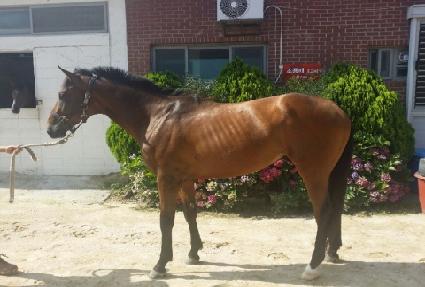 õ������ ����