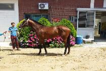 �ʵ�Ư�� (CHODONG TEUKGEUP) ����