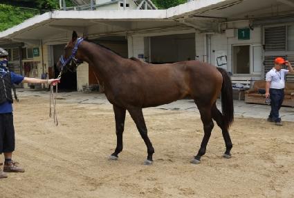 ��¸���Ŀ ����