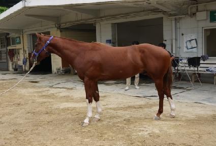 ������� ����