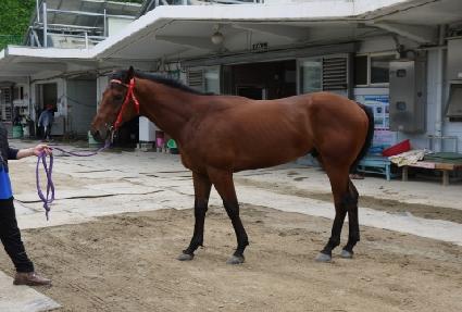 ���ŷ�� ����