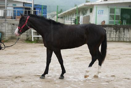 ��º��丮�� ����