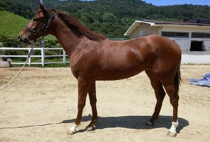 �Ŷ��Ǵ޹� ����