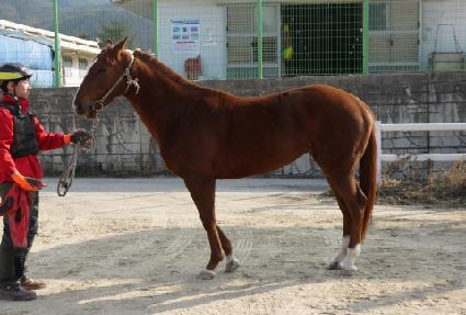 ��â���� ����