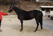 �����ǽ��� (BULHUUI SEUNGJA) ����