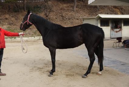 �����ǽ��� ����