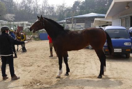 ������Ʋ��ƽ ����